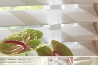 Wood Venetian Blinds - Venetian Blinds Product Range in Cambridge, Newmarket, Ely & Bury St Edmunds